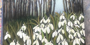 Woodland Snowdrops