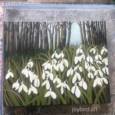 Woodland Snowdrops
