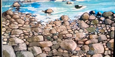 Shoreline