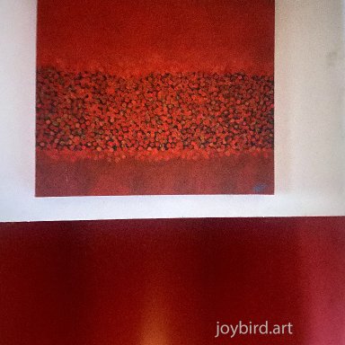 red fields
